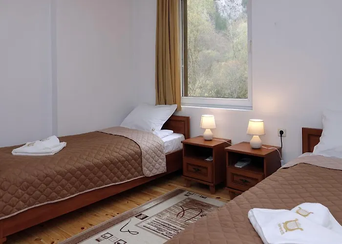 семеен орфей 2*