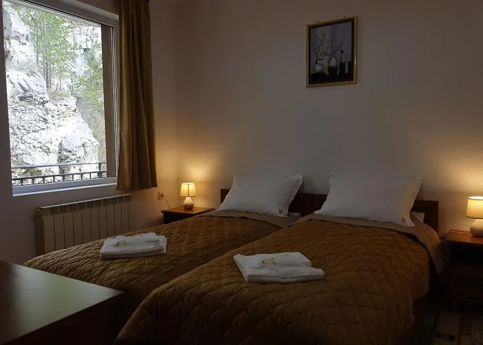 семеен орфей 2*